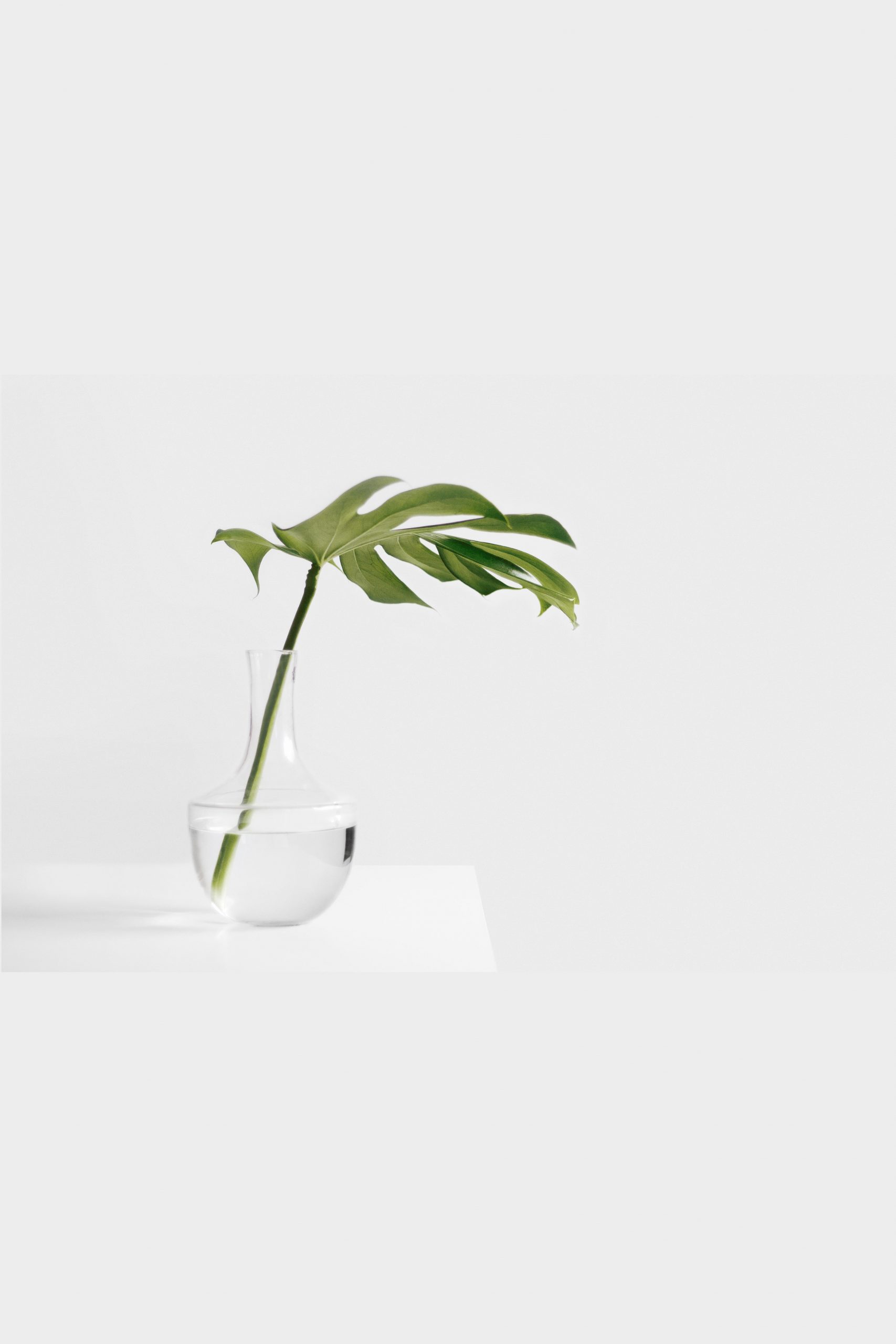 sarah-dw123483-unsplash-min